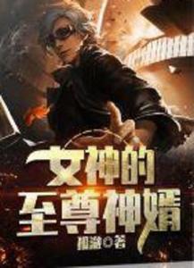 至尊镇国神婿,一代神婿的传奇崛起之路